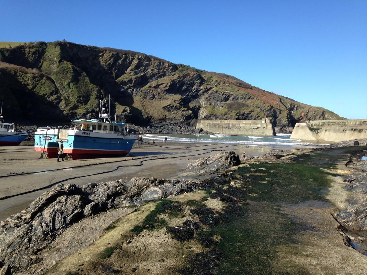 Terrace Tea Bed & Breakfast Port Isaac